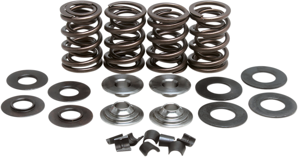 Valve Spring Kit