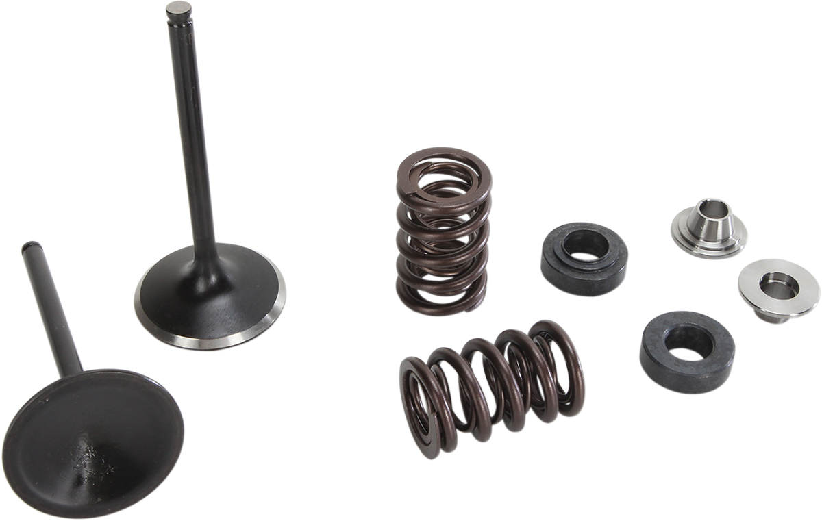Intake Valve Kit