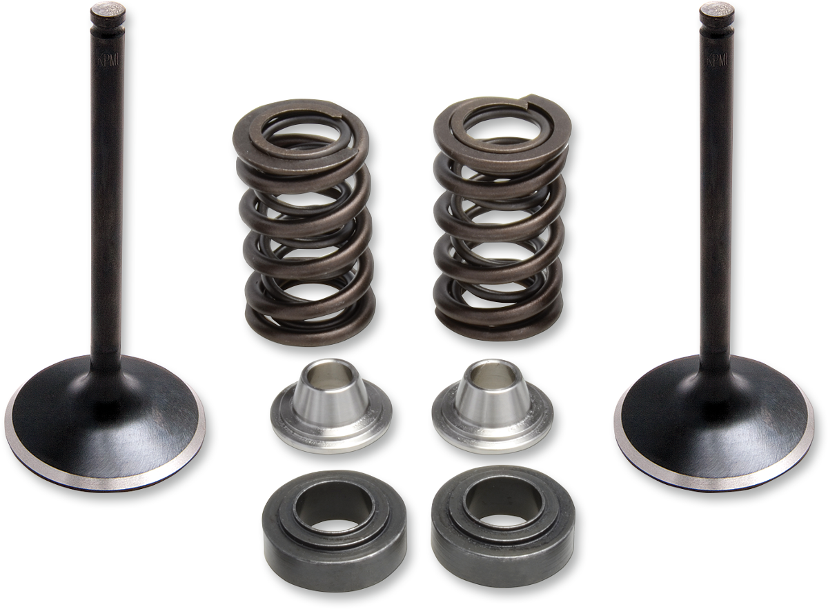 Valve Spring Kit