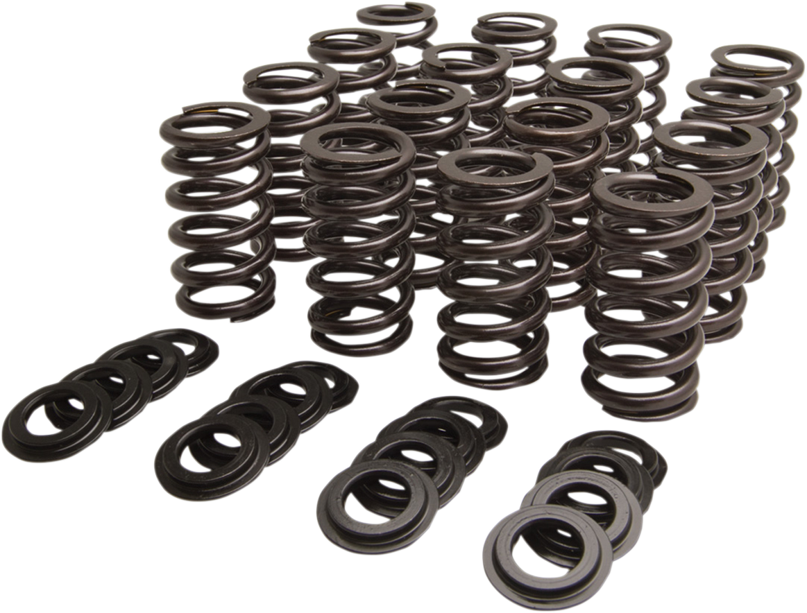 Valve Spring Kit