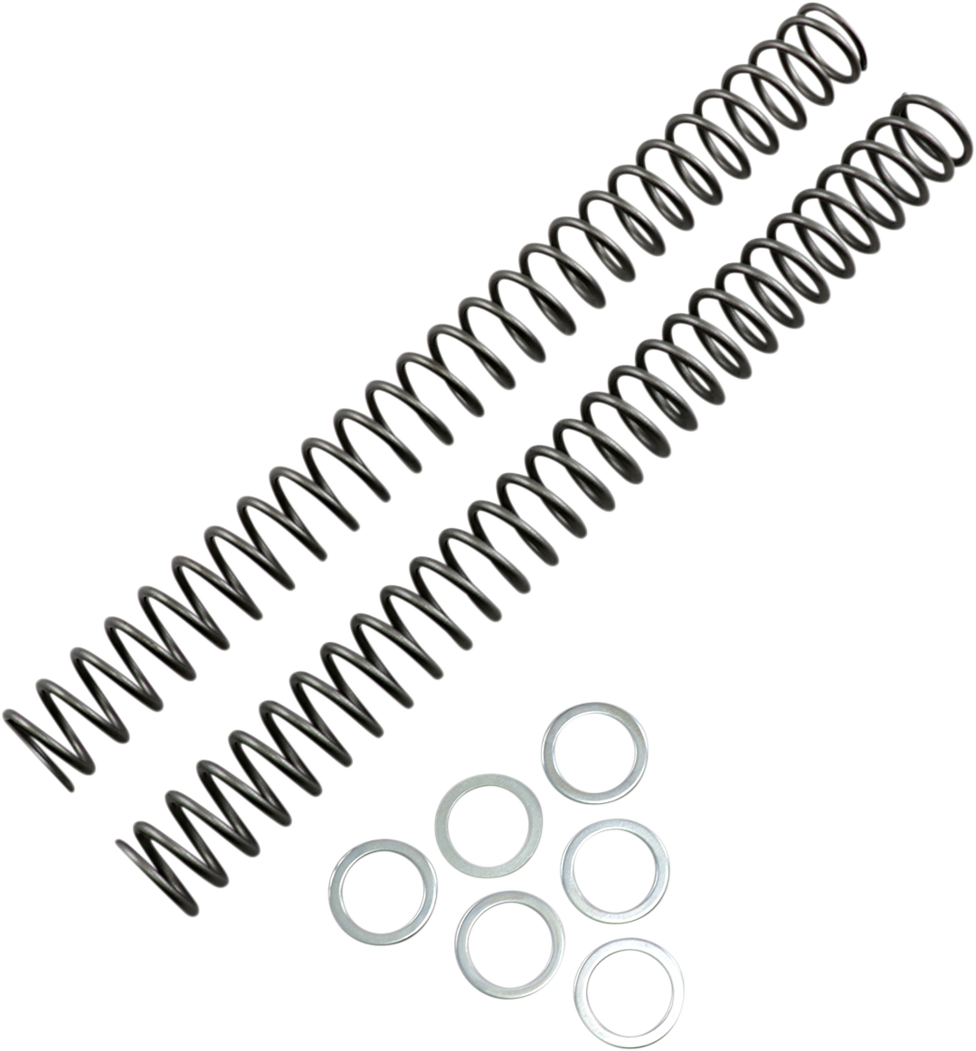 Fork Springs - 0.42 kg/mm