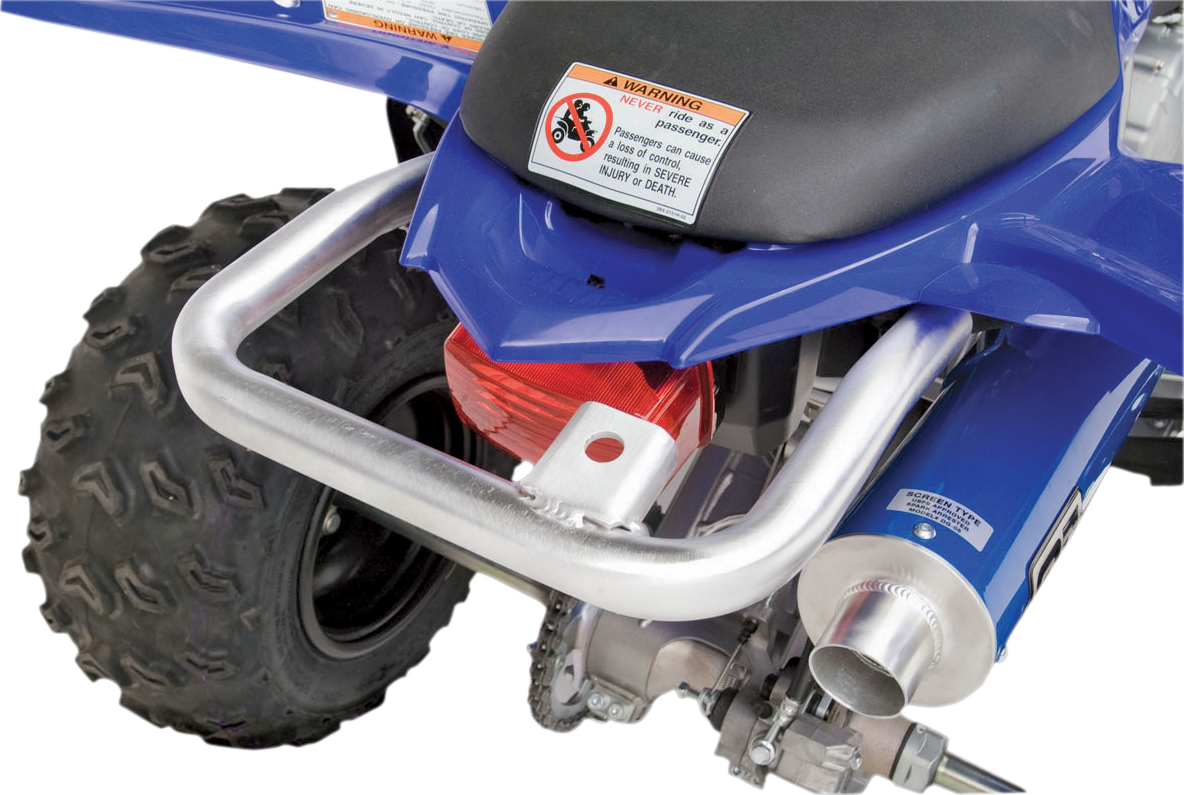 Fat Grab Bar - Raptor 250