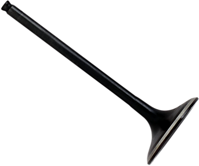 Exhaust Valve