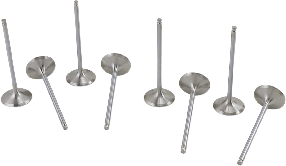 Intake Valve Kit