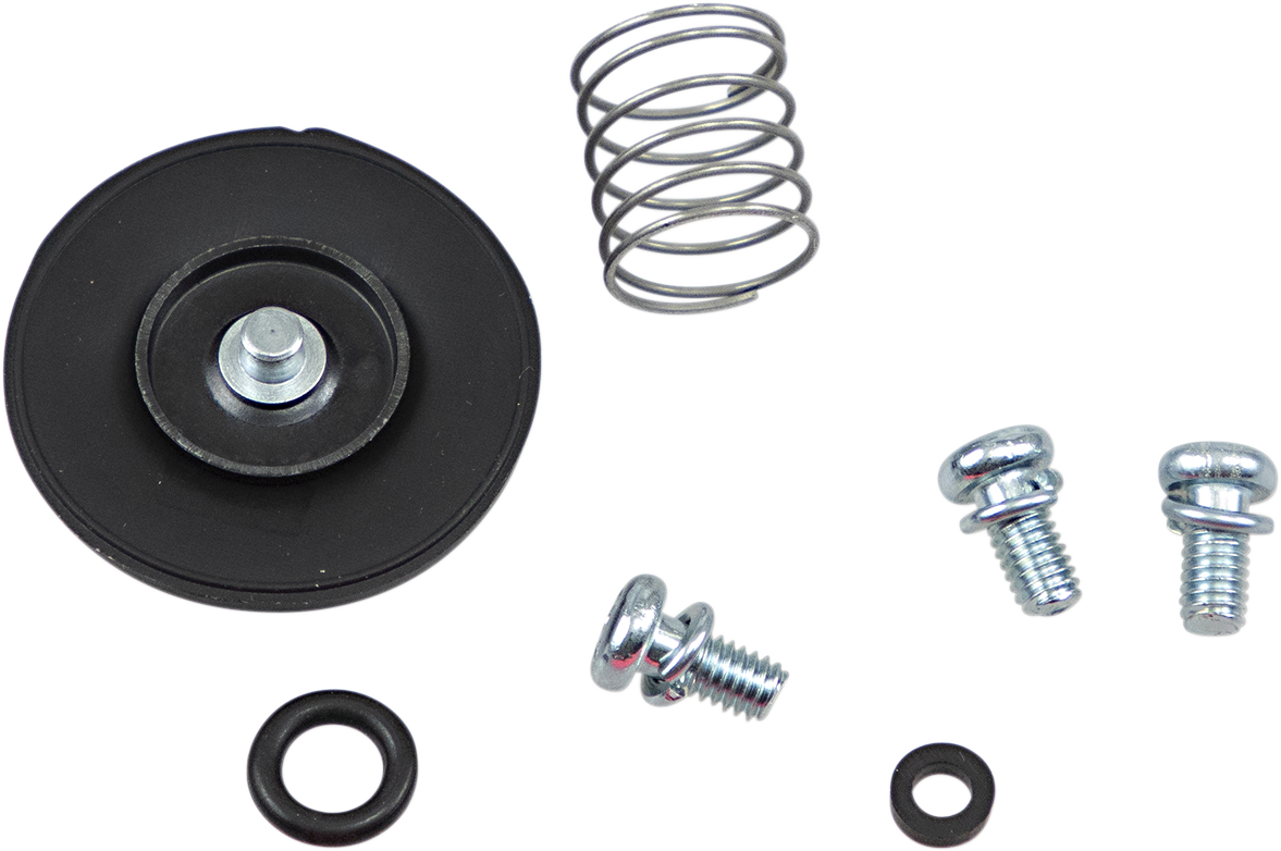 Rebuild Kit Acceleration Pump
