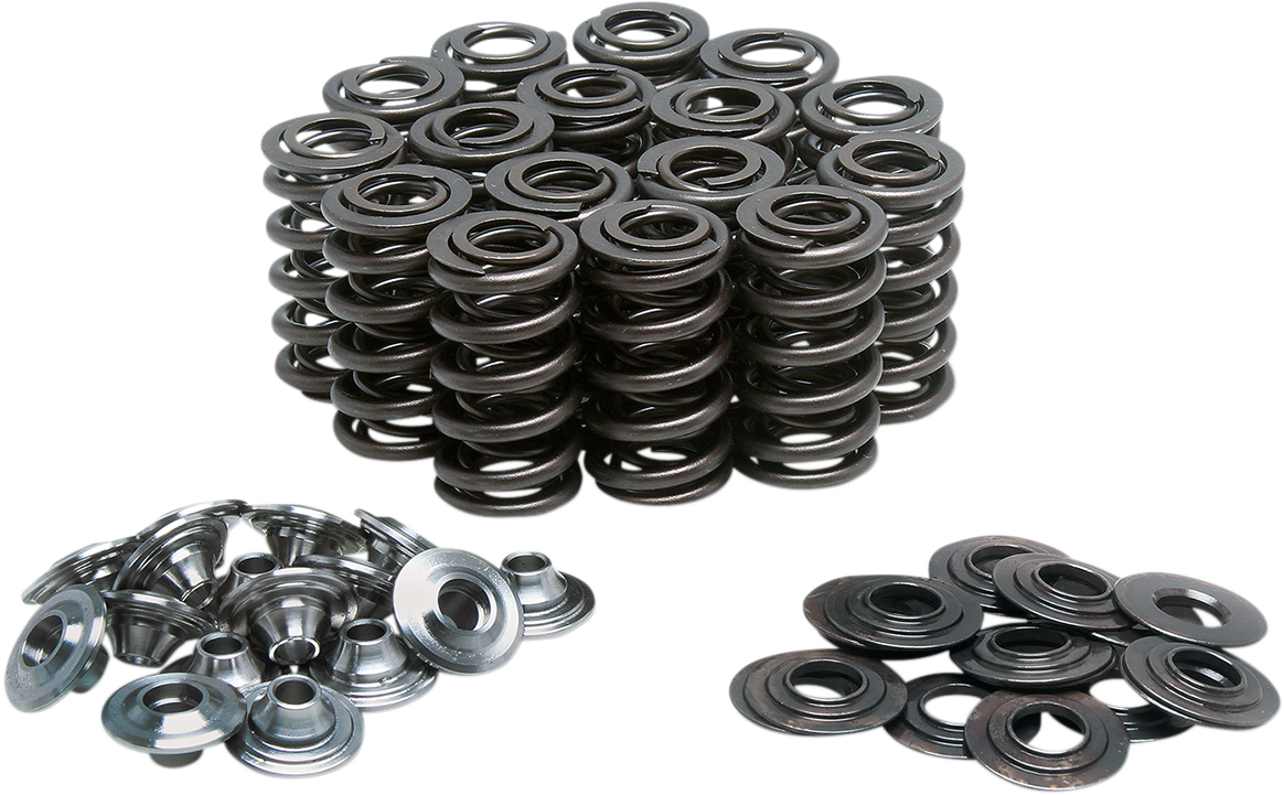 Valve Spring Kit