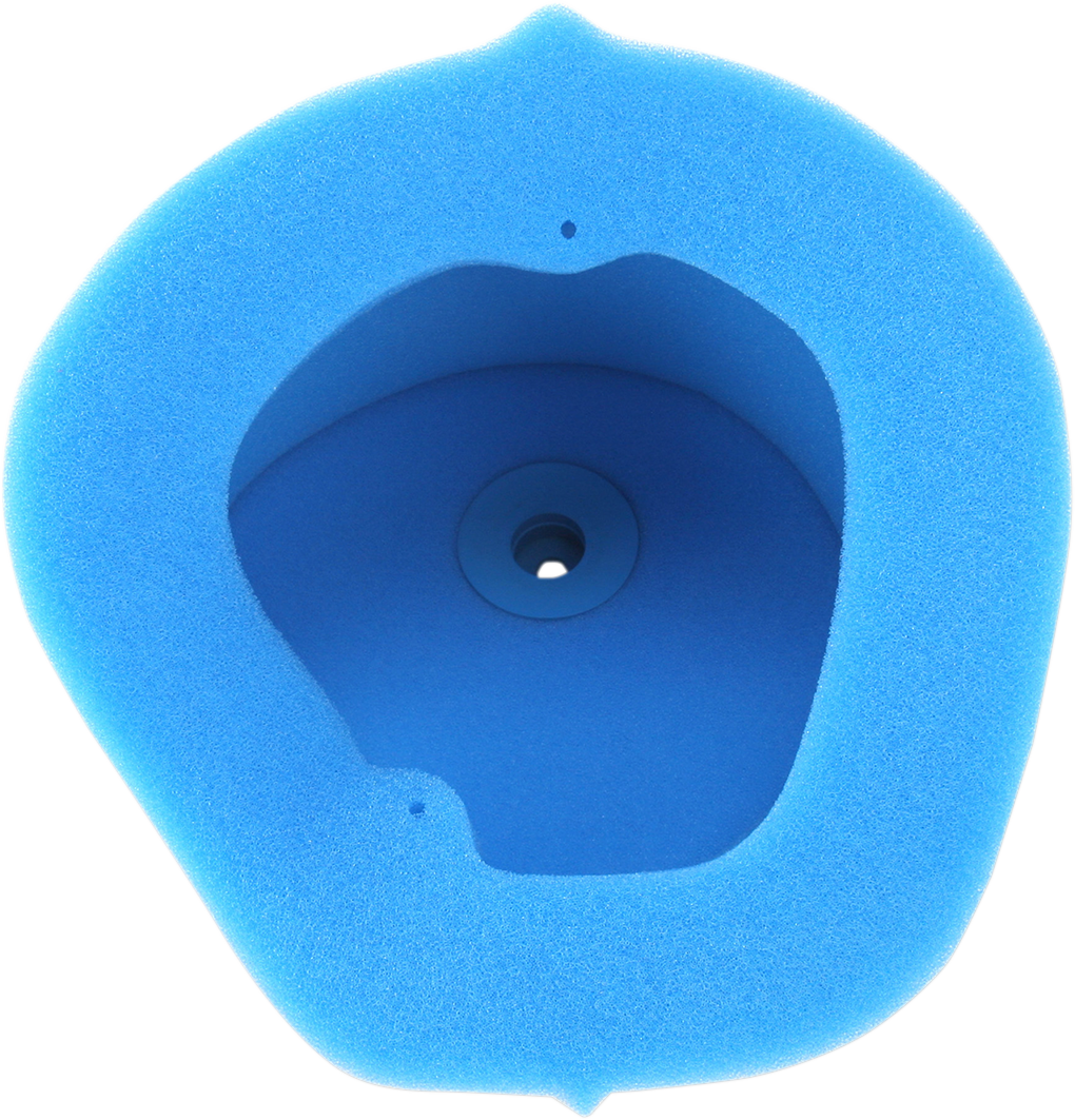 Air Filter KXF/RMZ 250