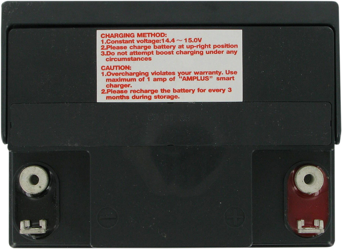 AGM Battery - YIX30L