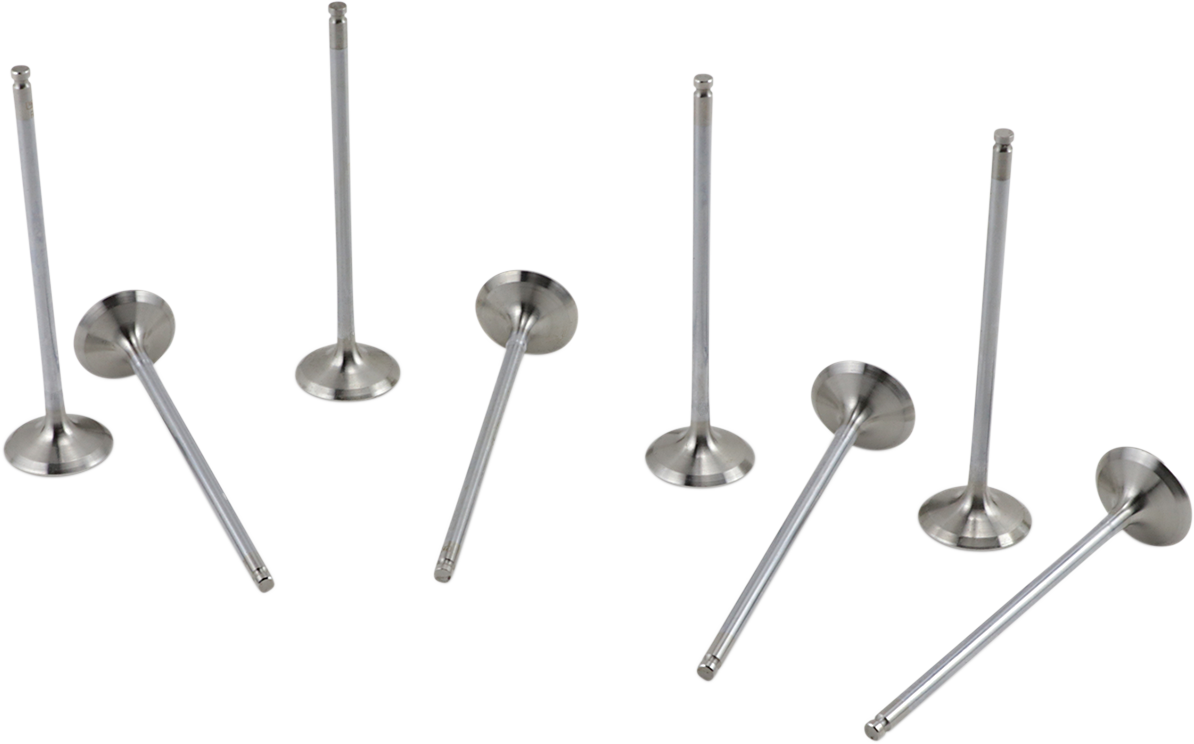 Exhaust Valve Kit