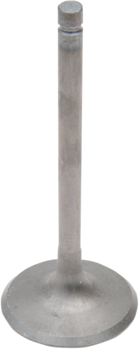 Engine Valves