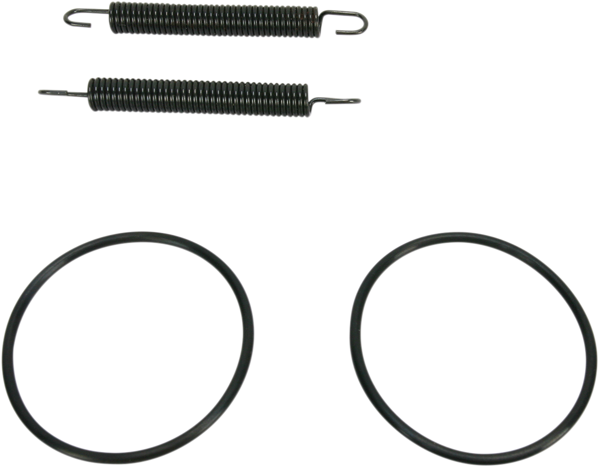 Pipe Spring/O-Ring Kit