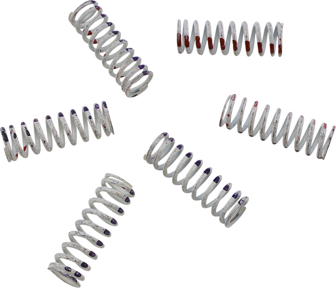 Clutch Spring Set