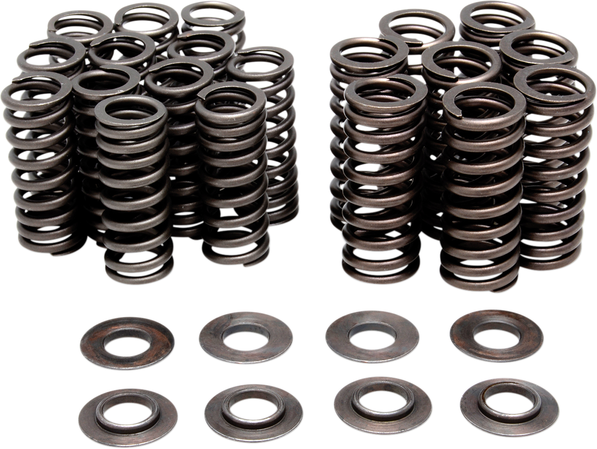 Valve Spring Kit