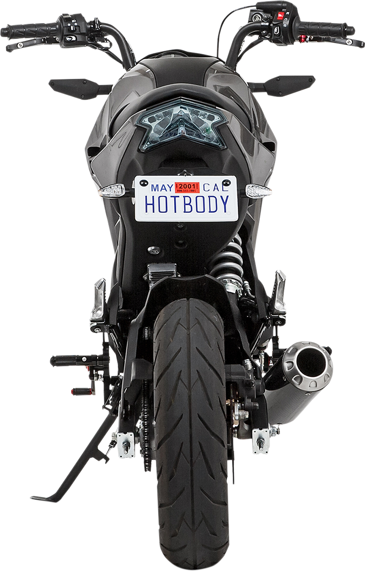 TAG Fender Eliminator for Kawasaki