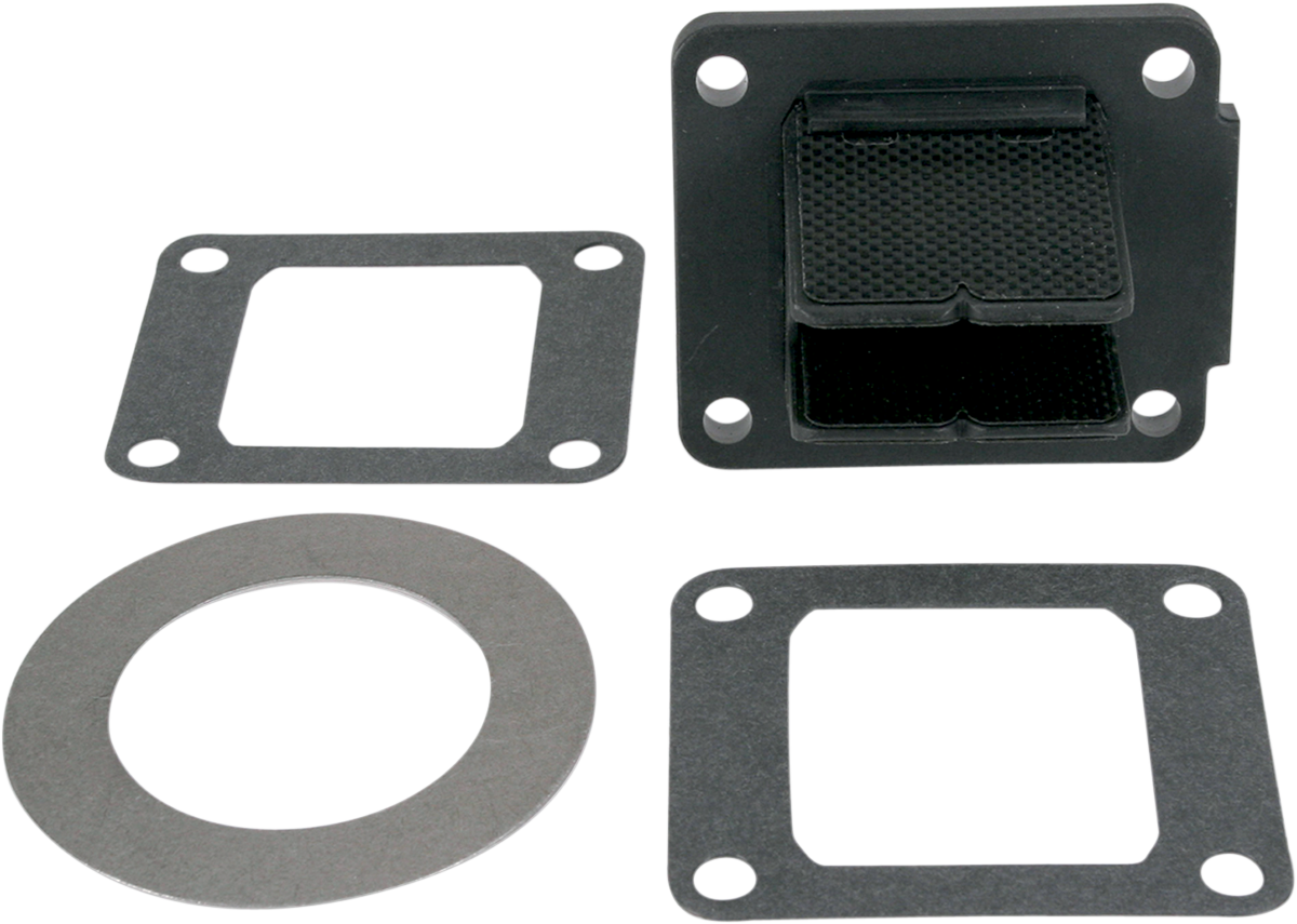 3 Reed Valve System