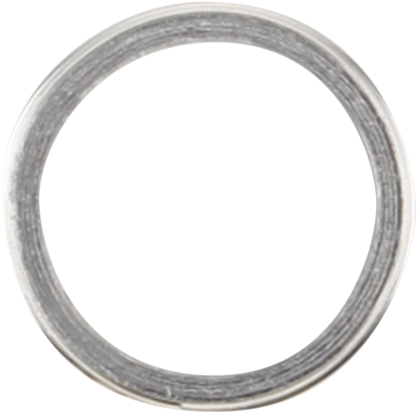 Exhaust Gasket
