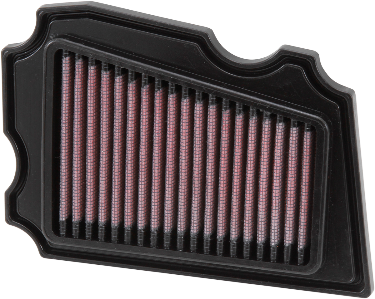Air Filter TW200