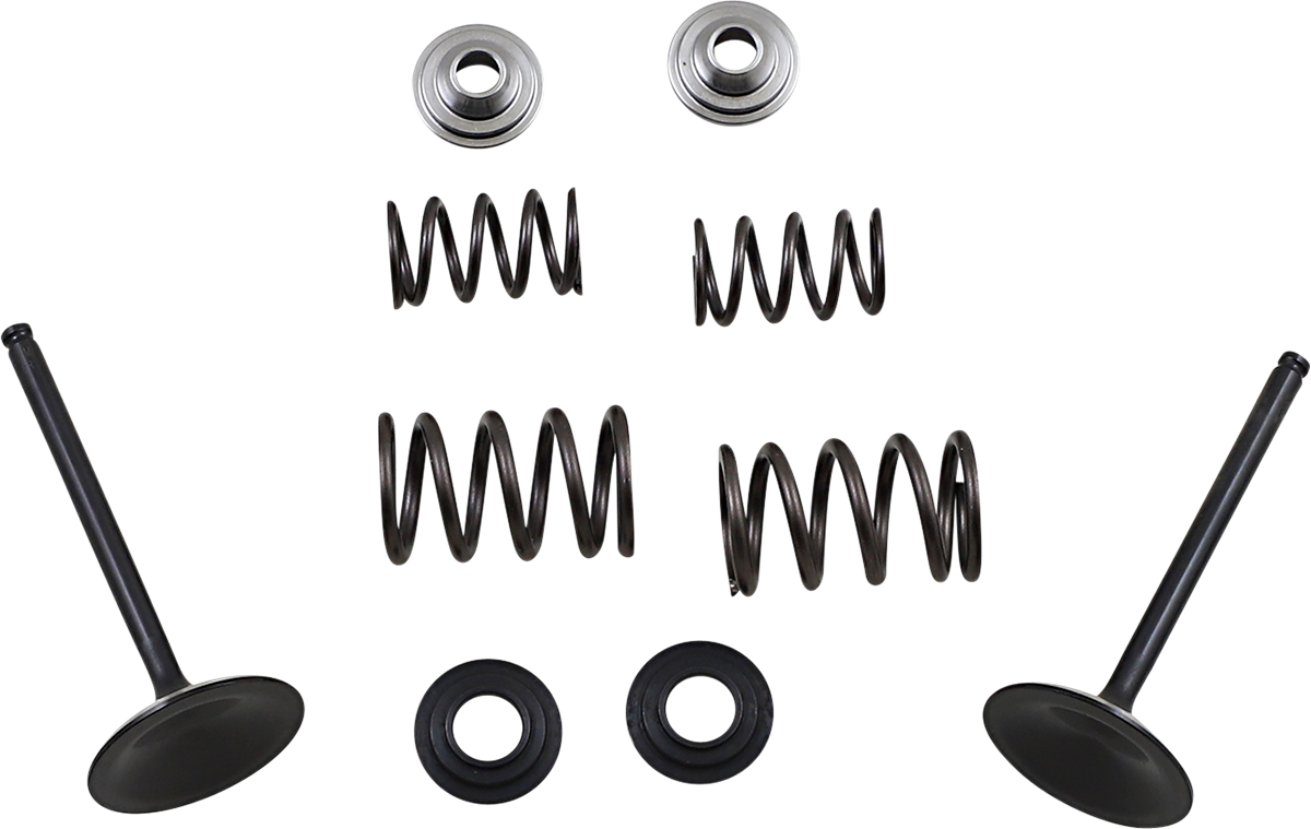 Intake Valve Kit