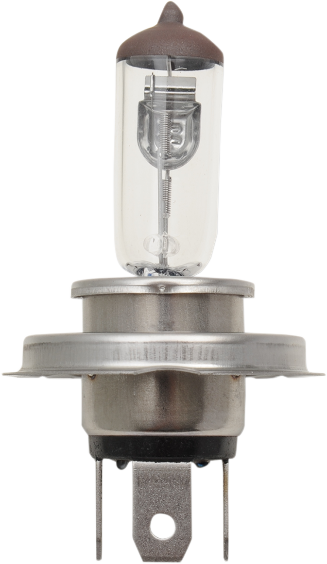 Halogen Bulb