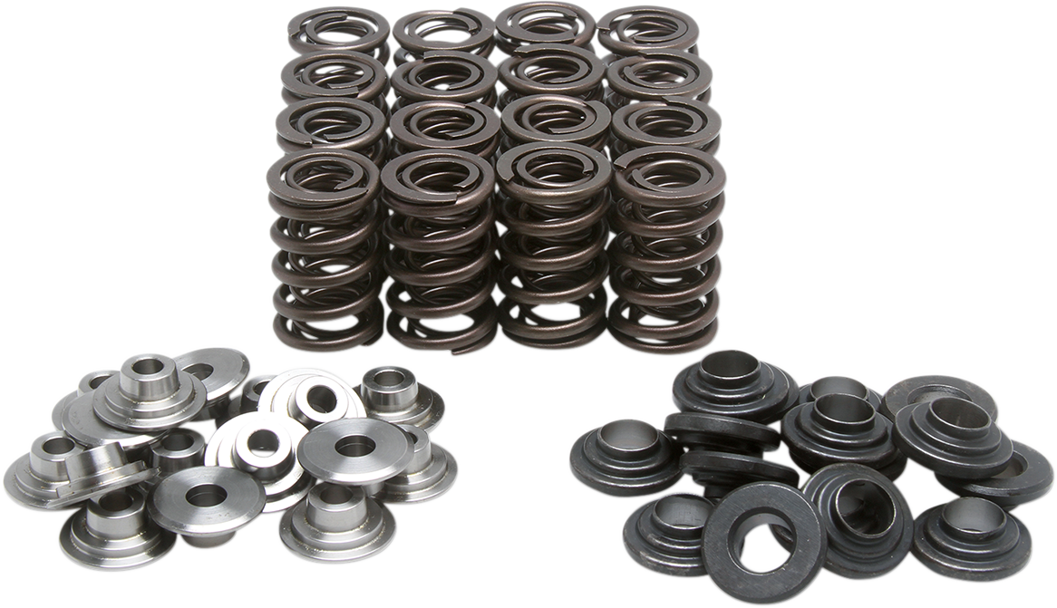Valve Spring Kit
