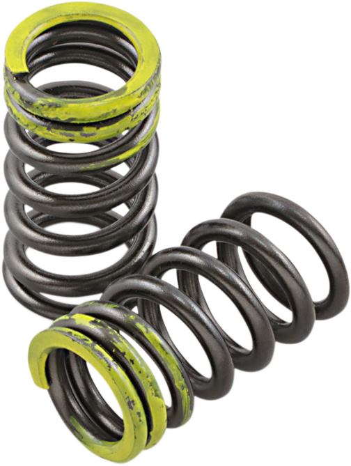 Intake Valve Springs