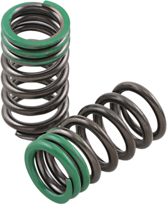 Exhaust Valve Springs