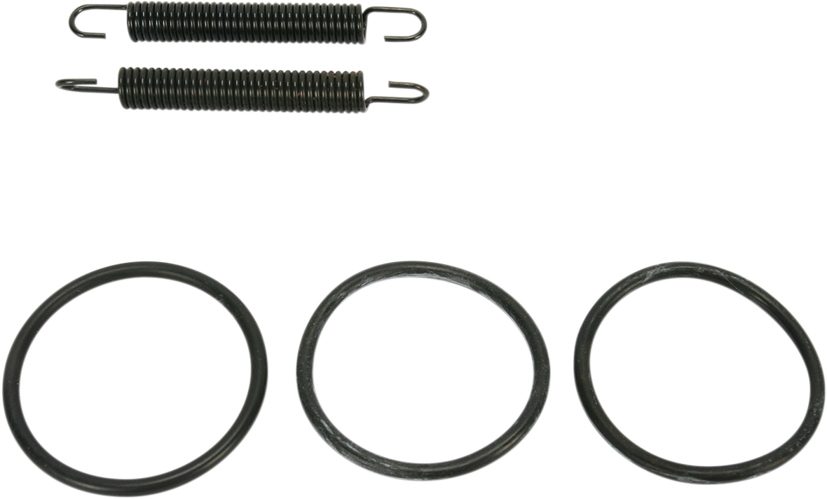 Pipe Spring/O-Ring Kit