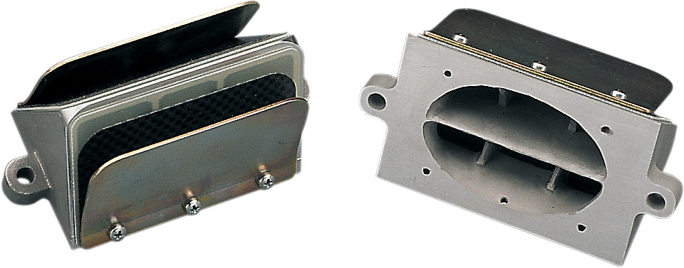 Replacement Reeds for/RAD131