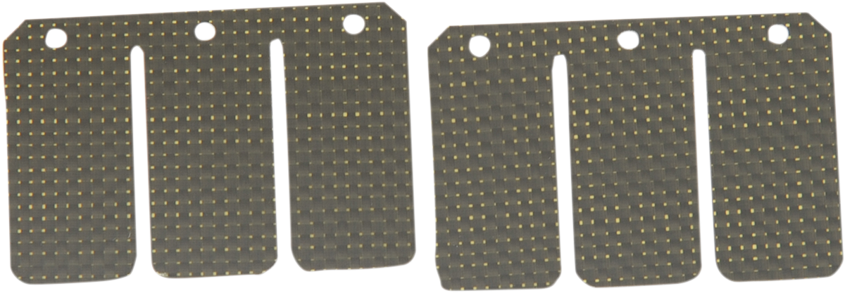 Carbon Single-Stage Reed YZ250/WR250