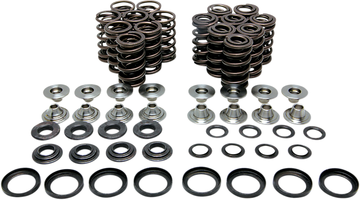 Valve Spring Kit