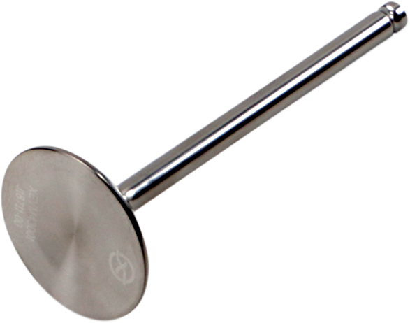 Exhaust Valve