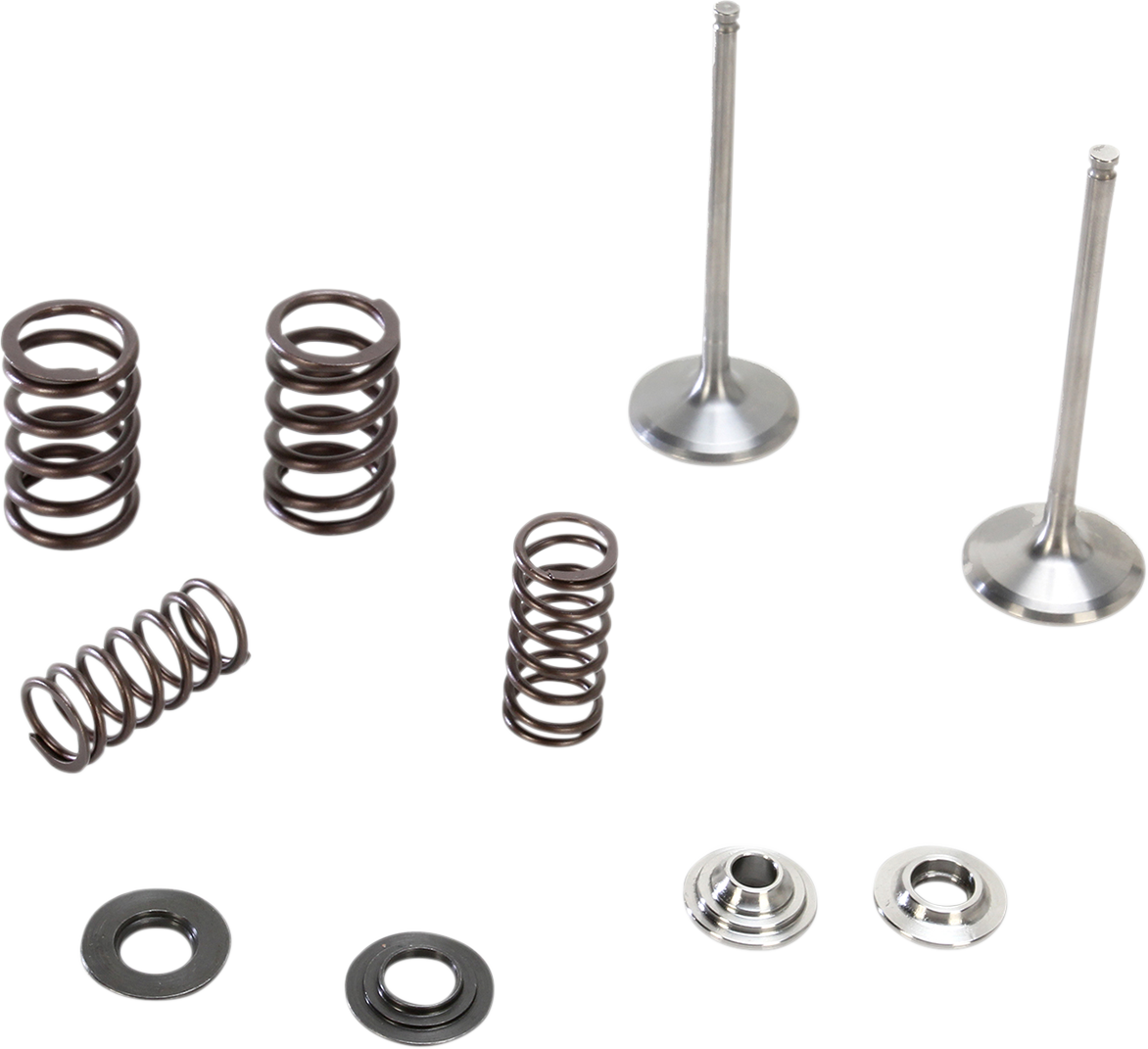 Intake Valve Kit