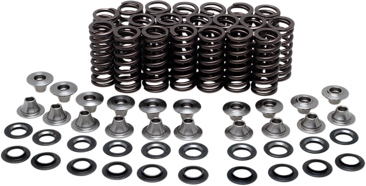 Valve Spring Kit