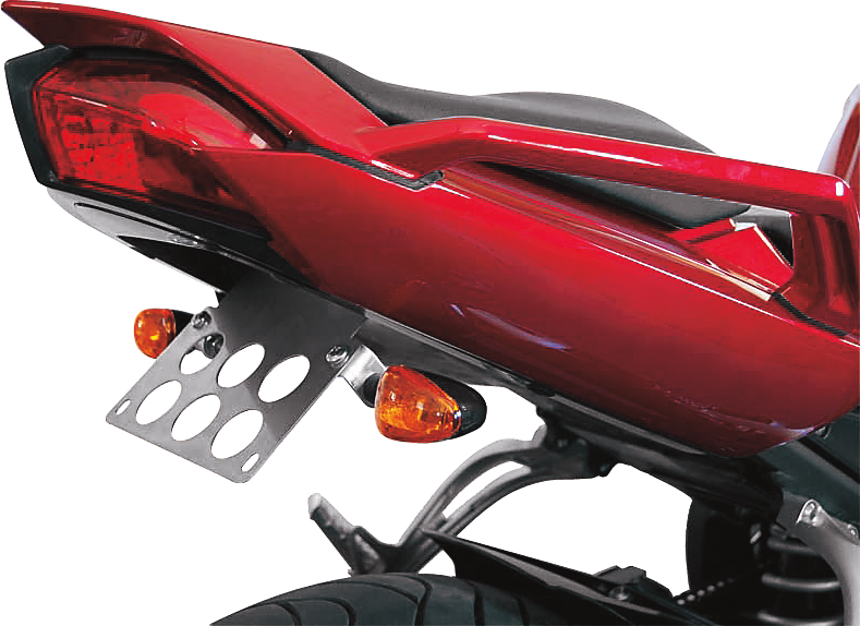 Fender Eliminator Kit with Turn Signals