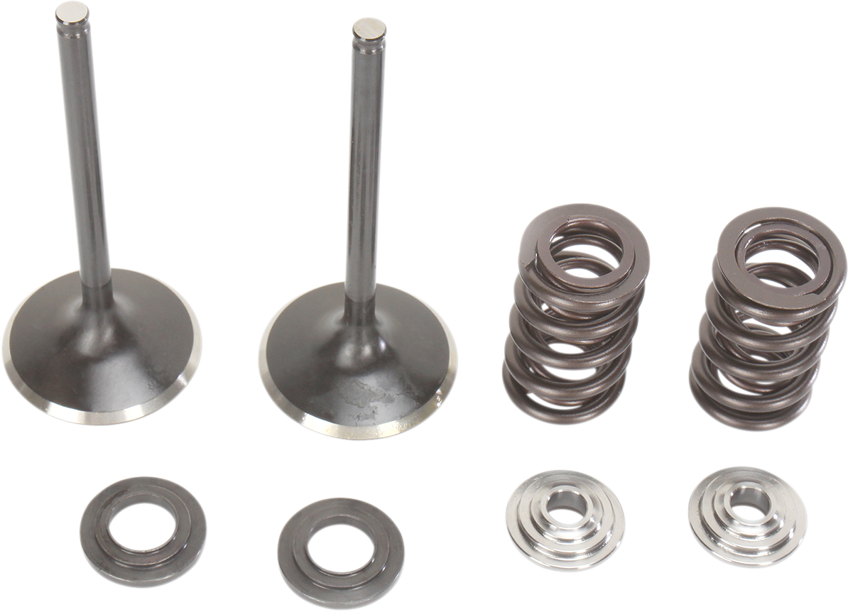 Intake Valve Kit