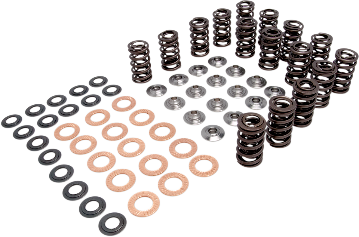 Valve Spring Kit