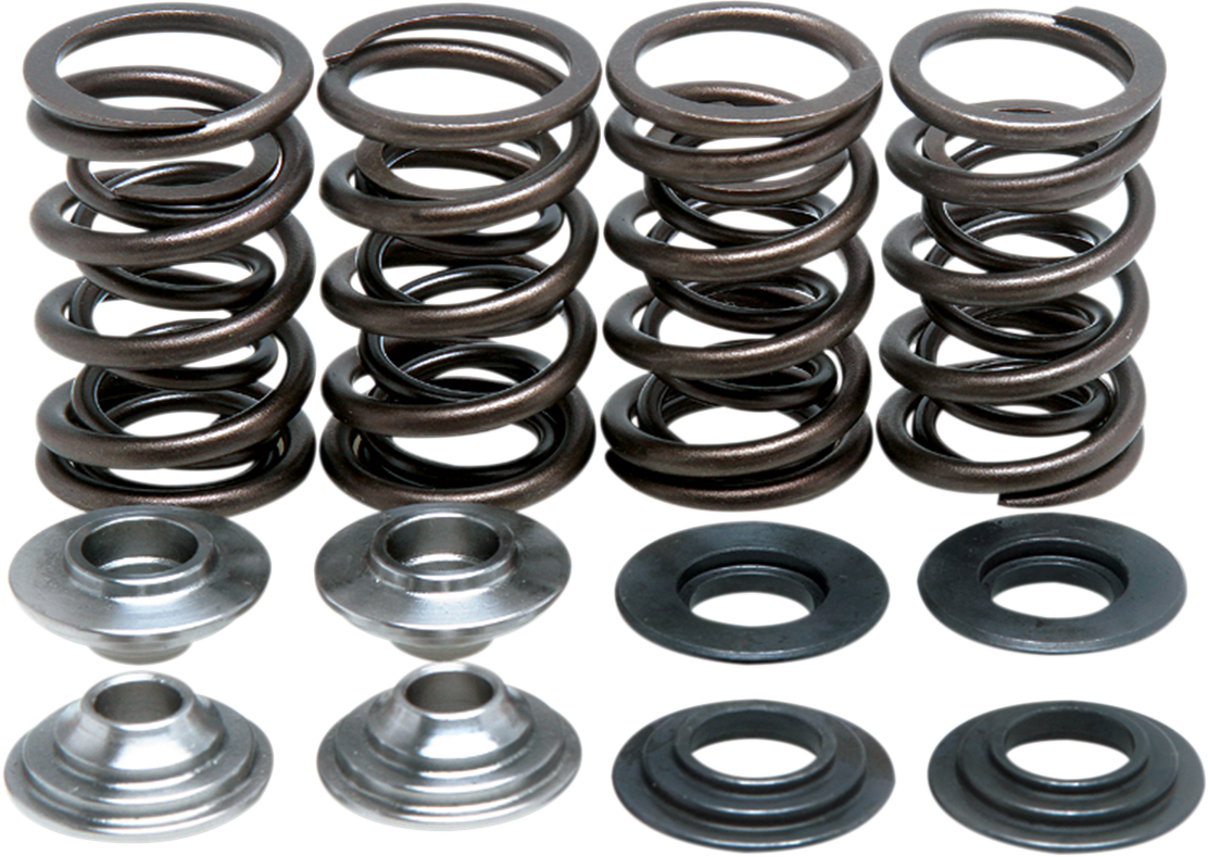 Valve Spring Kit