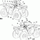 SPORTSMAN WORKER 500 - A99CH50EA/EB Наклейки