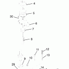 XPRESS 300 - W969530 Gear selector (400) xpress 400 w969540