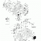 Traxter, 7417/7418 Картер