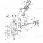 F225XCA Crankshaft Piston