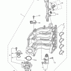 F50TLR Впускная система 1