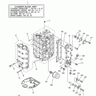 F50TLR Цилиндр и картер 1