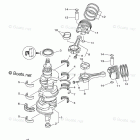 F250TUR Crankshaft Piston 1037812-