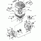 W917527 TRAIL BOSS 2X4 Crankcase and cylinder  250 2x4