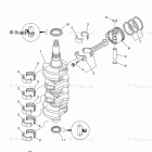F50TLR Crankshaft Piston