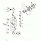 F115TLR Crankshaft Piston