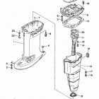 C40TLRX Дейвуд