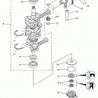 C50TLRX Коленчатый вал и Поршень