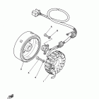 V STAR 250 XV250D/XV250DC Генератор
